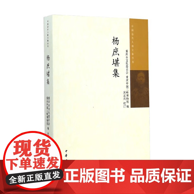 杨庶堪集 中国近代人物文集丛书 况正兵 著 社会科学