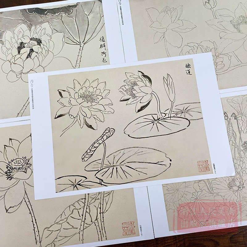 陆抑非课徒稿:月季 [正版]旗舰陆抑非课徒稿+白描扇面画稿全套22册 牡丹工笔花卉禽鸟没骨花鸟技法图解大8开临摹教程画高清大图