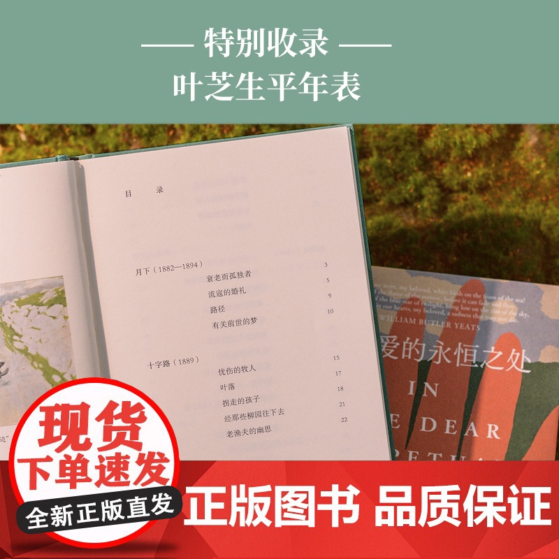 在可爱的永恒之处:叶芝诗选 爱尔兰文艺复兴运动领袖 诺贝尔文学奖得主叶芝代表诗作 翻译家傅浩经典译本 收录内文插图和生平高清大图