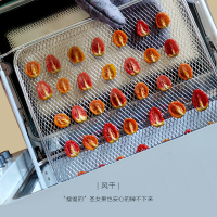北鼎(BUYDEEM)T535定制配件空气炸网立体烤 炸薯条烤水果干