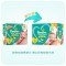帮宝适(Pampers) 超薄干爽尿不湿大码箱装绿帮纸尿裤 绿帮S164片