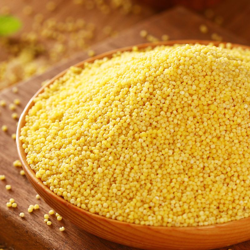 谷小宝有机黄小米杂粮粥有机新米东北朝阳五谷香糯粘稠小米粥有机黄