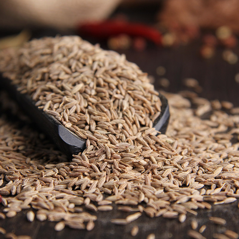 十款美味孜然粉优质榜推荐