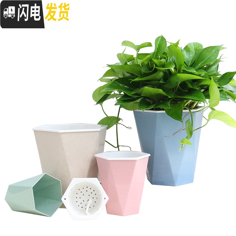 三维工匠免浇水花盆自吸水创意个性六角绿萝花盆室内小号可爱懒人花盆 北欧米 U05(内径10cm)花盆容器高清大图