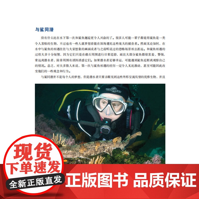 与鲨共舞 奈杰尔·马什等 著 科普读物高清大图