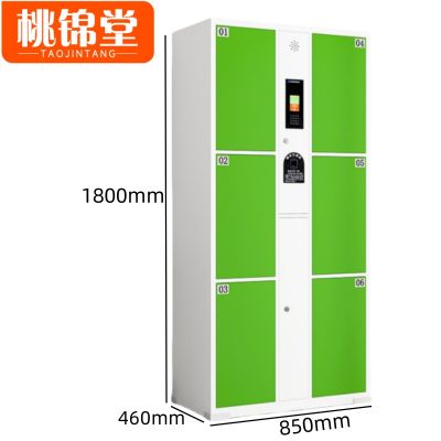 桃锦堂电子存包柜 储物柜6门台