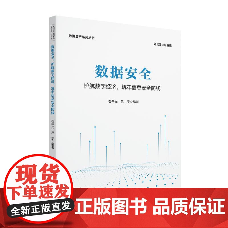 数据安全:护航数字经济,筑牢信息安全防线 石午光 数据资产系列丛书 北京大学店正版高清大图
