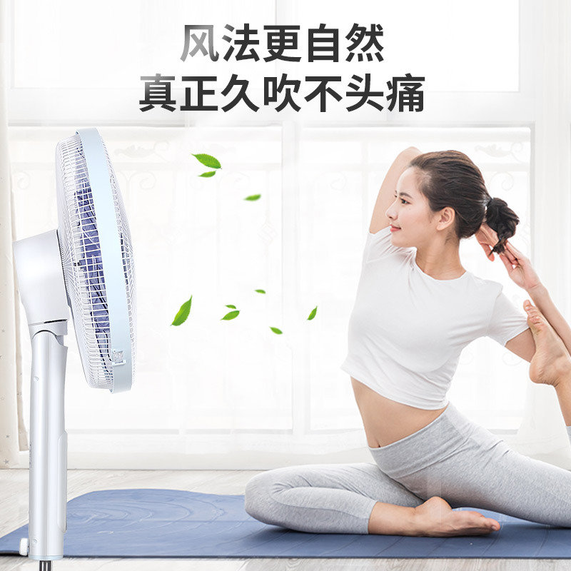 格力(GREE)落地扇直流变频电风扇双层14叶大风力智能遥控家用风扇落地扇FDZ-40X96Bdg9双层仿生蝴蝶扇22档高清大图