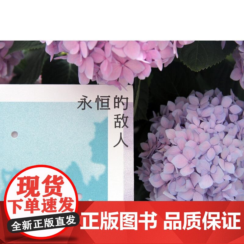 永恒的敌人扎加耶夫斯基诗集II 波兰亚当•扎加耶夫斯基北京联合出版公司高清大图