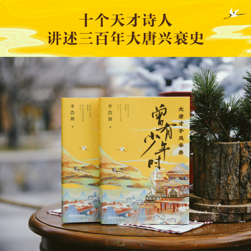 [正版]曾有少年时 李浩源的书 读唐诗懂历史书 大唐才子风华录 图书 书籍 天天向上 中国古诗词之美 戴建业魔性课高清大图