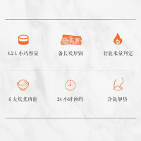 松下(Panasonic)微电脑电饭煲 4.2L电饭锅 3-6人 智能烹饪 可预约SR-DC156-F
