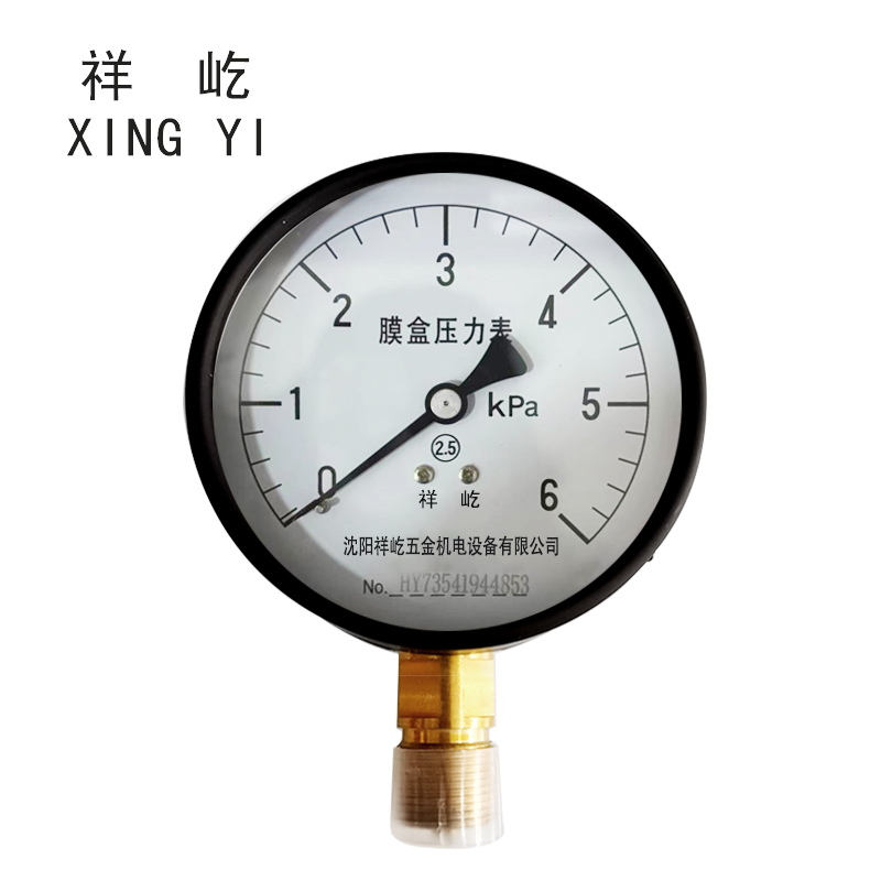 祥屹+膜盒压力表检测定制型+YE100+块