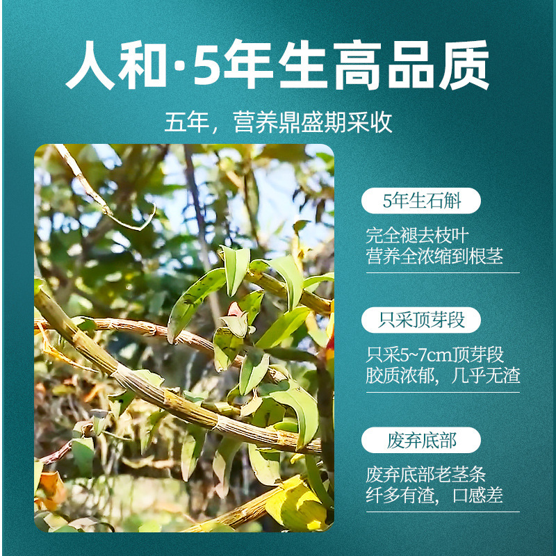 铁皮石斛100g礼盒年货送礼铁皮石斛五年生铁皮石斛过节礼品 枫斗官方旗舰店高清大图