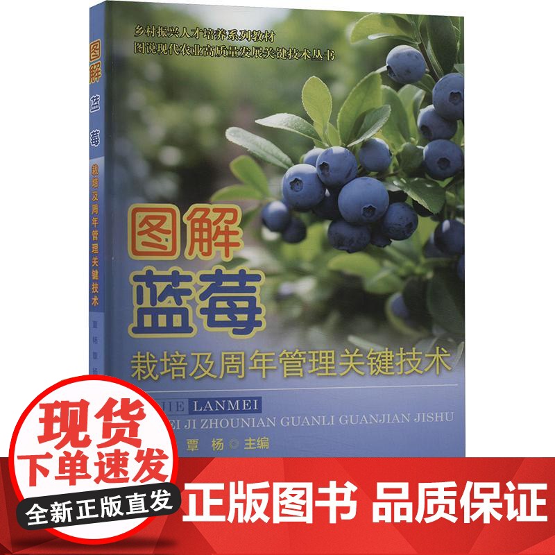 图解蓝莓栽培及周年管理关键技术 董畅 覃杨 编 9787565531729 中国农业大学出版社高清大图