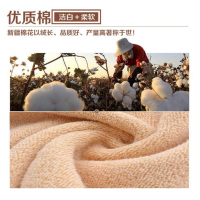 金号·毛巾 MJ 常规款 B2B商品 100份起订