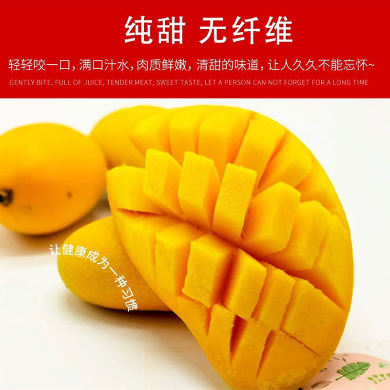 卜任舒 甄选水仙芒3.5kg(包装随机发货)高清大图