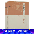 【正版】宋辽夏金元文化史断代文化史系列叶坦蒋松岩宋代北宋南宋士大夫政治文化历史述论朱熹的世界研】正北