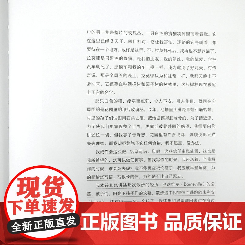 [精装]绿眼睛:杜拉斯与电影 《情人》《广岛之恋》作者法国国宝级大师龚古尔文学奖得主杜拉斯一本专论个人电影观的代表性著作高清大图