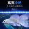 鱼缸LED灯潜水灯水草灯防水龙鱼灯增艳节能超亮水族箱装饰照明灯 双排灯珠蓝白款(豪华版) 18cm-2W建议20cm以上