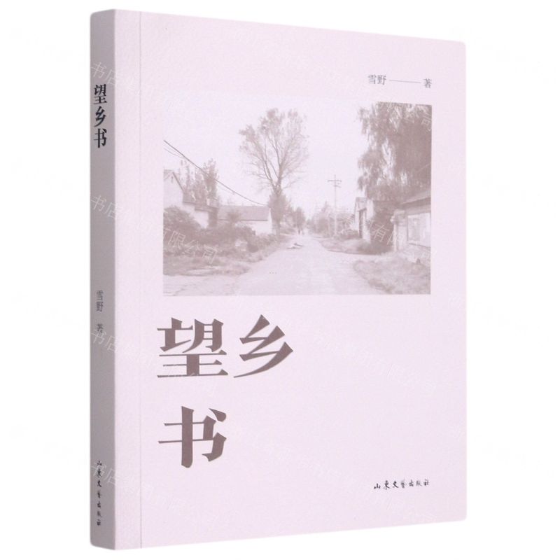 【N】望乡书-9787532963409