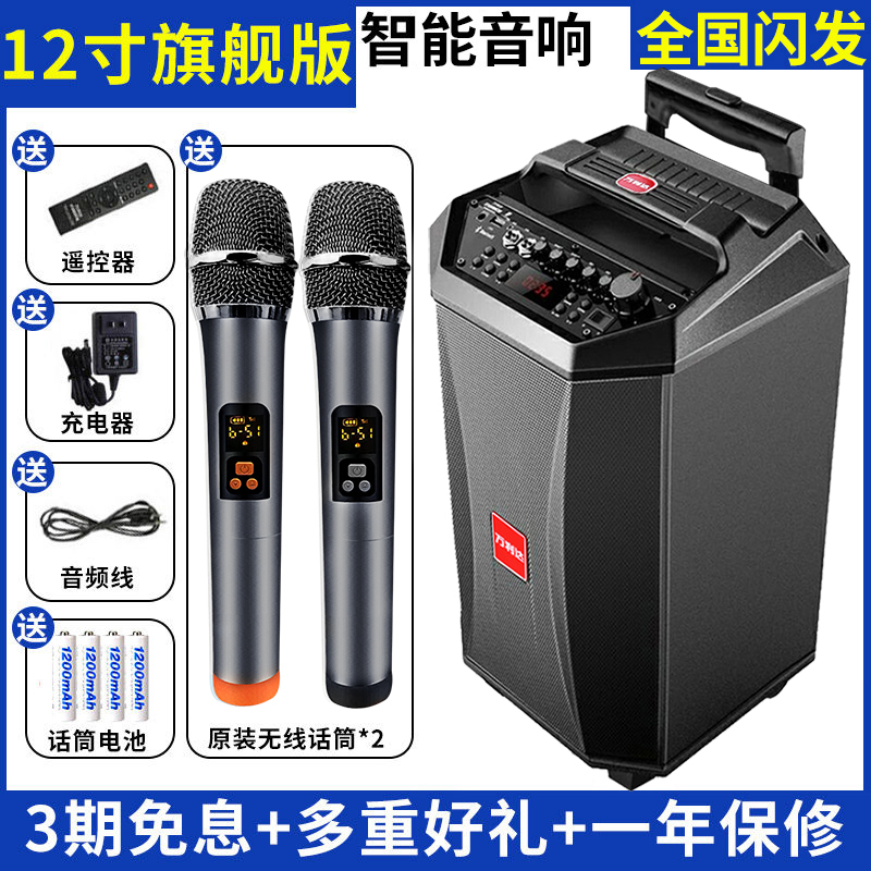 万利达广场舞音响户外 音箱 k歌智能蓝牙u盘重低音无线麦克风套装 神舞Ⅱ代12寸240W:万能金属话筒*1+U盘