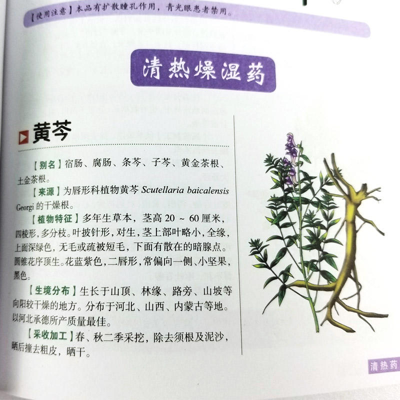 [正版] 彩图全图全解中草药大全 材识别图鉴书籍 中医入门中草药大全书籍药材植物彩图大全书中医大全书中草药图鉴wl高清大图