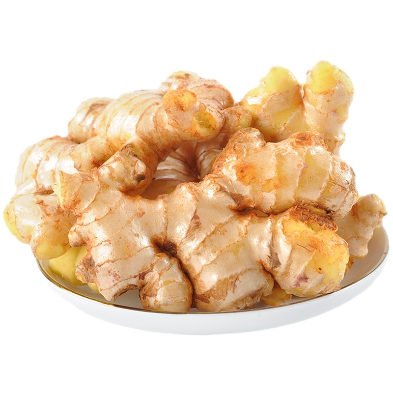 鲜贝达 红芽嫩姜 嫩仔姜3斤装炒菜佐料新鲜黄姜