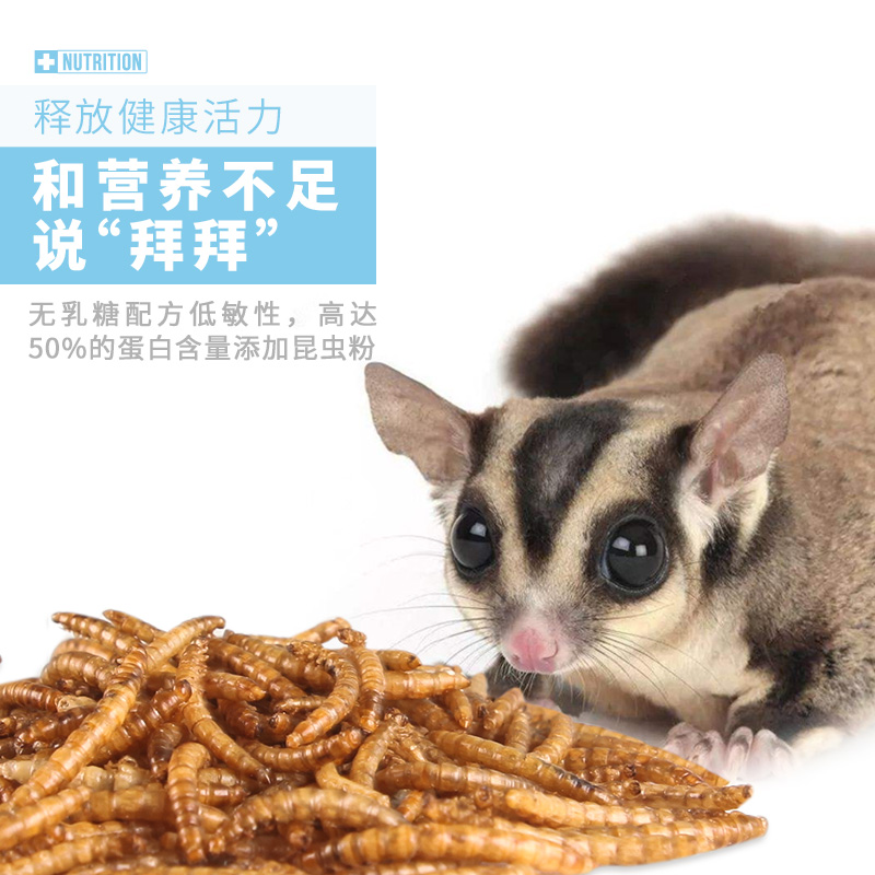 蜜袋鼯鼬飞鼠幼崽粮食面包虫高蛋白主食冲泡粮HPW全阶段营养配方高清大图