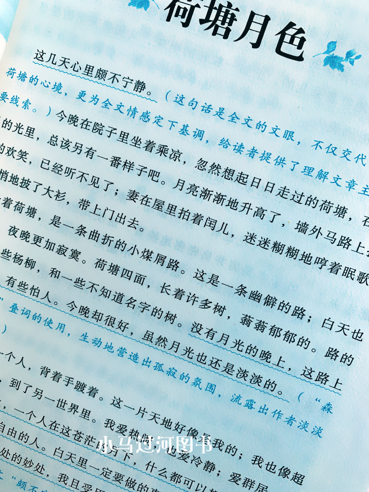 [正版]世界经典文学名著 荷塘月色朱自清散文集 汕头大学出版社高清大图