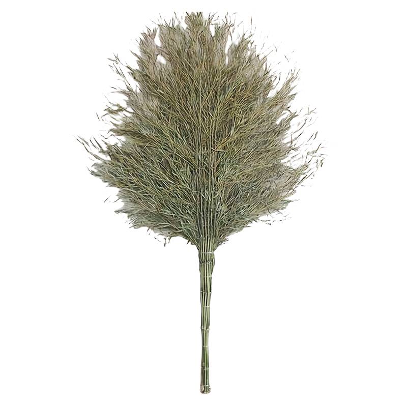 瑞季勤 大扫把 竹制 把