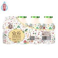 宜养乳酸菌牛奶饮品真美味好喝的酸奶饮料 100ml*24瓶