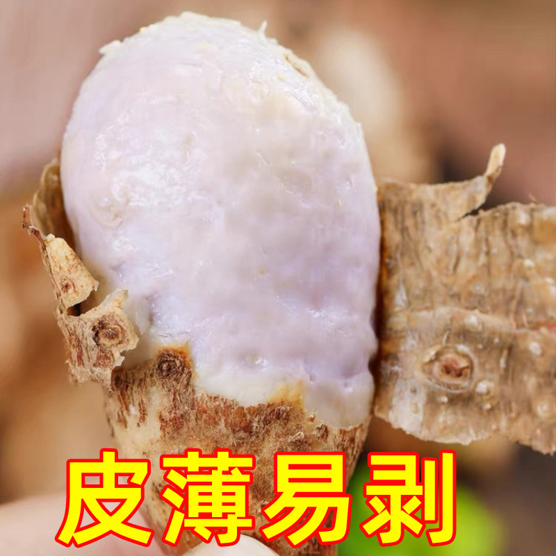 广西牛奶小芋头10斤新鲜蔬菜商用槟榔芋头香芋毛芋头芋艿农家自种