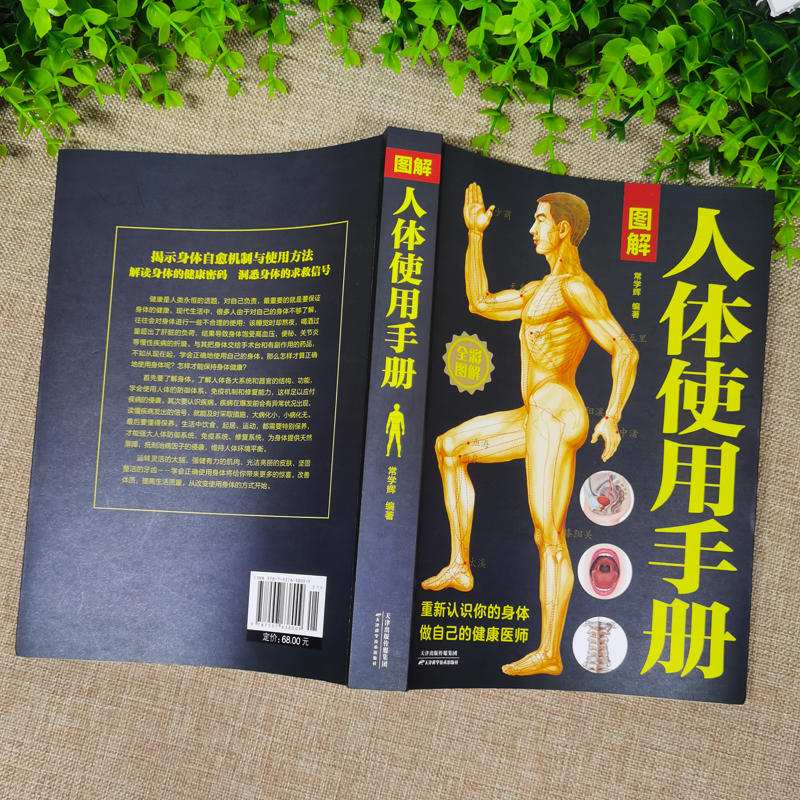 [正版]图解人体使用手册全彩图解典藏版常学辉编著基础医学生活中医养生经络穴位常见病中医疗法人体经络使用图册基本结构全家庭高清大图