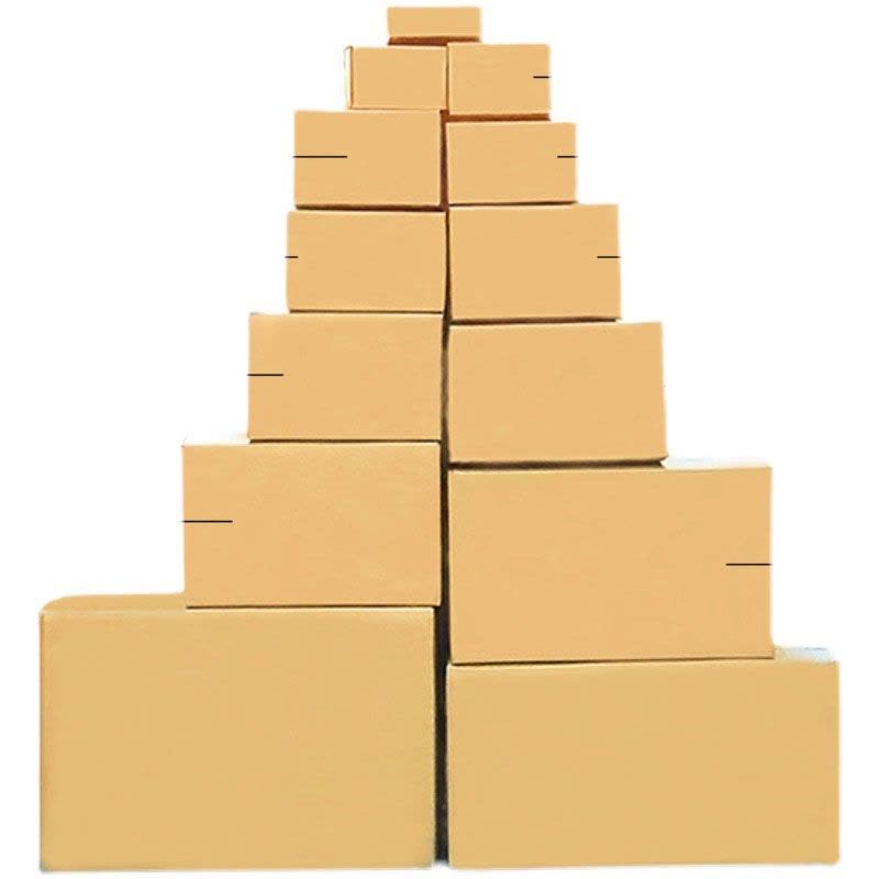 菲尔阿扎 PHIL ARZA 纸箱 60*40*50cm 5个/件图片