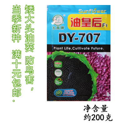大禹牌油皇后DY707油葵200克 大禹油皇后DY707油葵种子矮大头榨油专用葵花籽向日葵种子抗鸟害