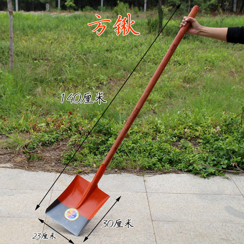 规格[铲头23*30cm 全长140cm 5把装]不锈钢方头铁楸 长柄园林铲 户外农用铁锹 松土工具