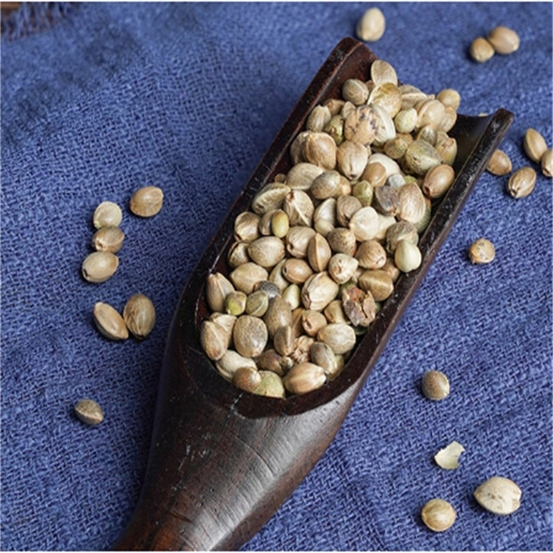 中药材火麻仁火麻仁籽火麻仁子桑叶茶决明子茶泡茶高清大图