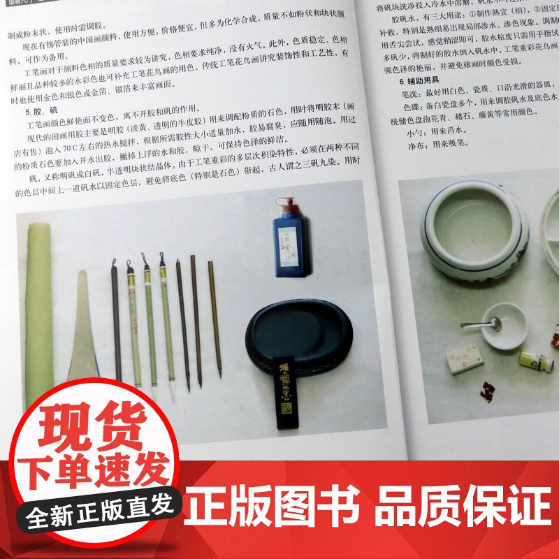 国画入门工笔花鸟画法 绘画入门系列丛书中国画工笔白描花鸟入门教程正统工笔花鸟技法 绘画步骤图技巧解析临摹范本教材书籍高清大图