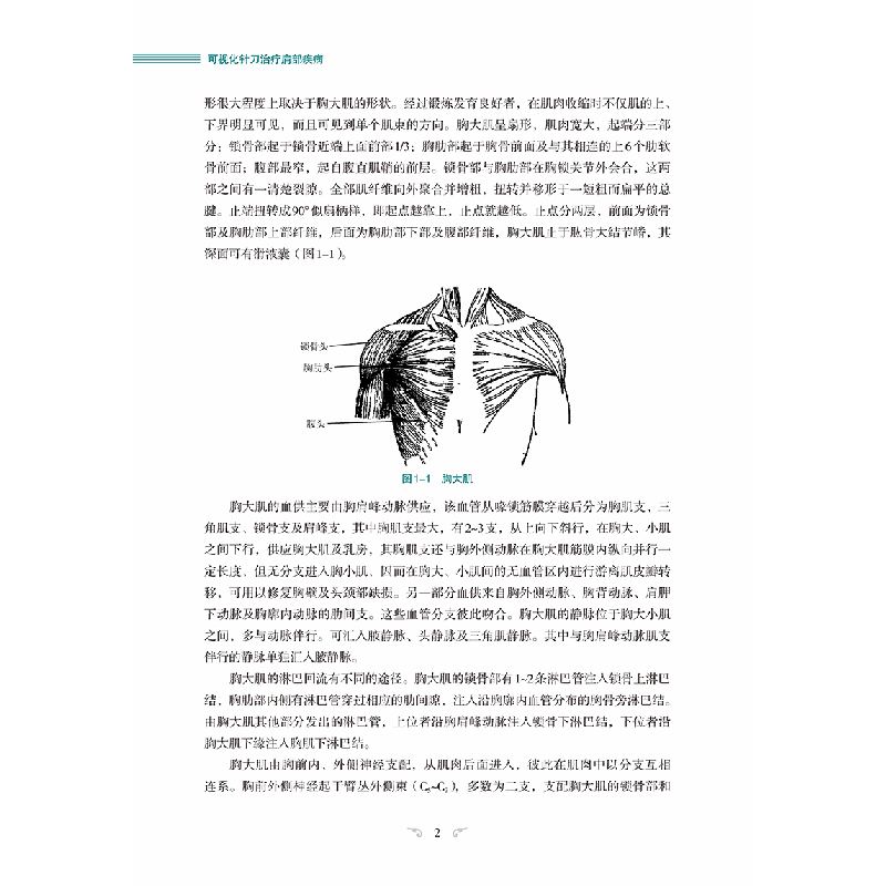 醉染图书可视化针刀治疗肩部疾病9787521419412高清大图