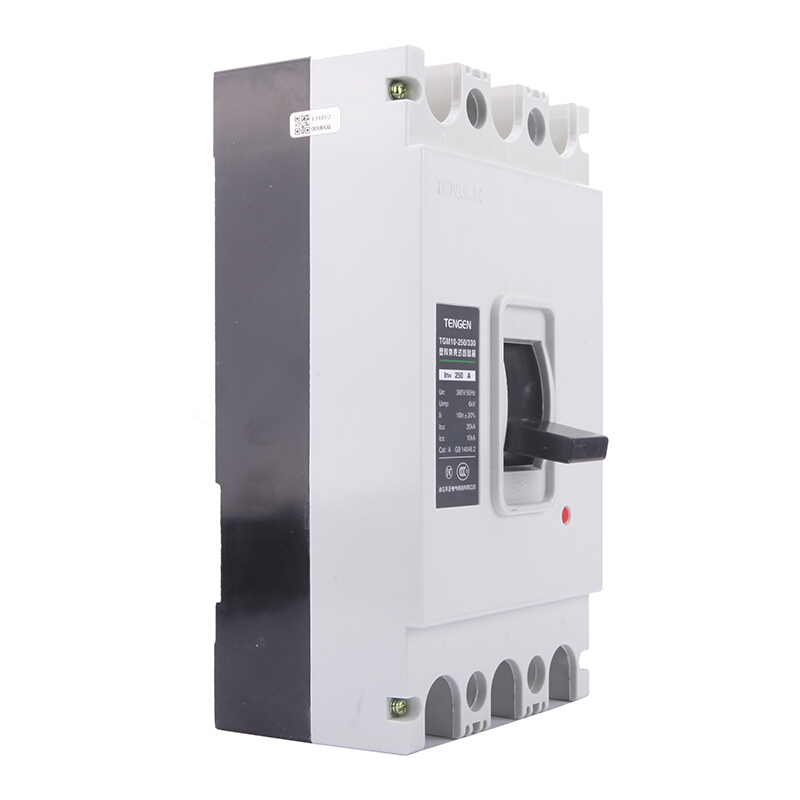 天正电气 TGM10-250 20KA 热磁式 250A 3P 手动 固定式 380V 01040080197塑壳断路器
