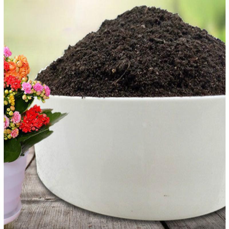 长寿花专用土长寿花土盆栽种植土营养土通用弱酸性养花泥土壤肥料报价 参数 图片 视频 怎么样 问答 苏宁易购