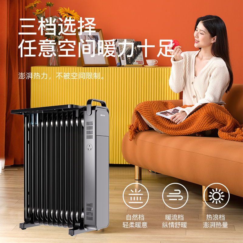 先锋油汀电取暖器家用大面积客厅电暖器油丁13片卧室烤火炉电暖气2265/DYT-Z11高清大图