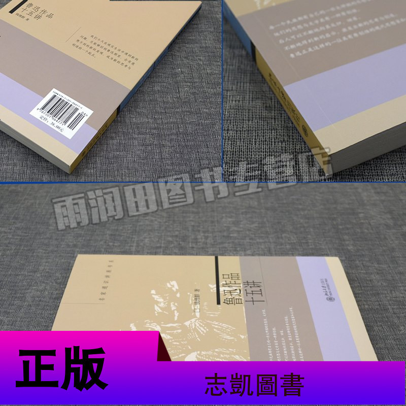 正版 鲁迅作品十五讲 大学素质教育通识课系列教材 名家通识讲座 文学理论与批评文学 文学回忆录 中国文学历史 大