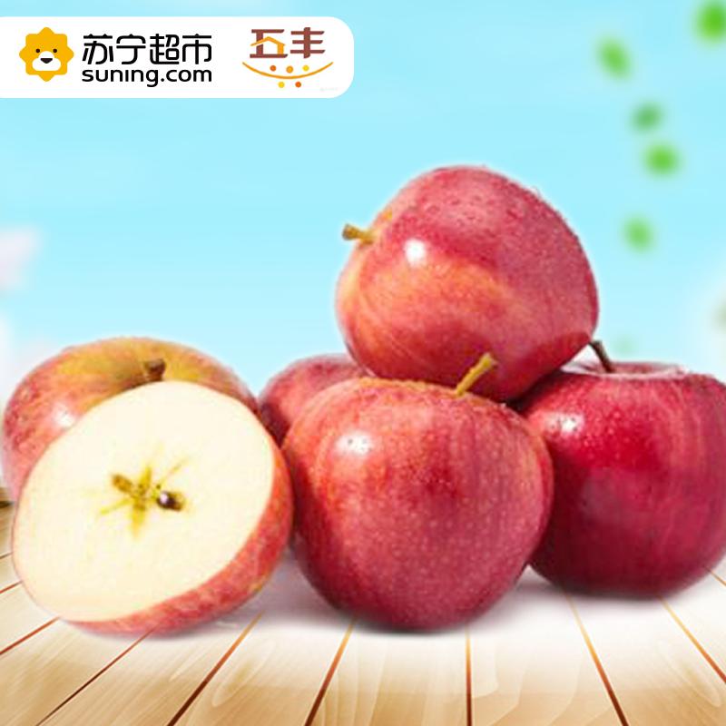 新西兰加力果(150克以上/单果)/12粒