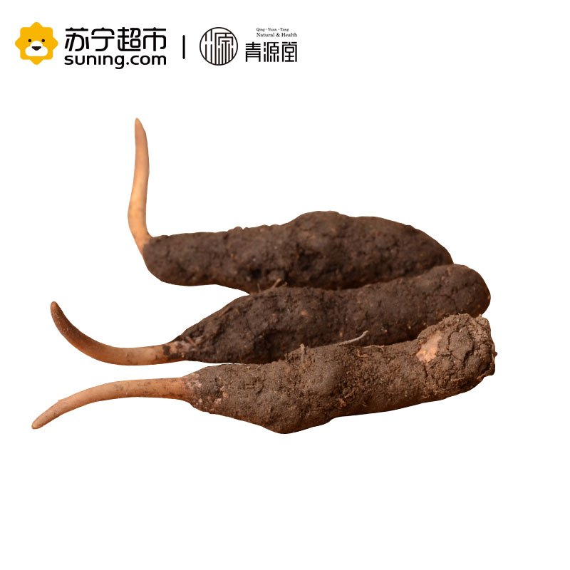 青源堂 冬虫夏草 1克/条 20条装 20克 新鲜冬虫夏草青海玉树高海拔雪山虫草正品 可泡酒泡水