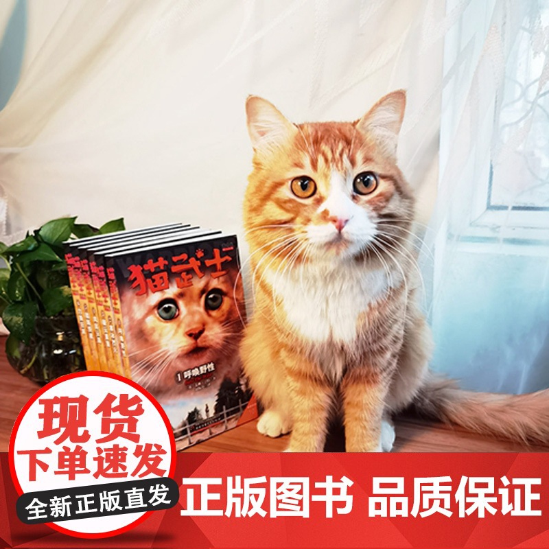 正版 猫武士首部曲第一二三四五六七部曲全套42册小学生二三年级阅读课外书猫武士系列原版注音版1-2-3-4-5-6-7成高清大图