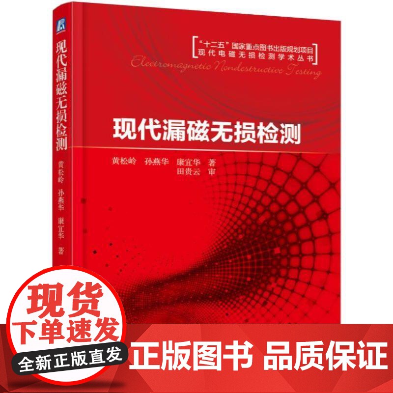 机工 现代漏磁无损检测 黄松岭 孙燕华 康宜华 著高清大图