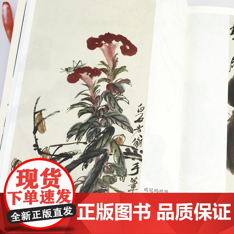 花能解语 带你读懂齐白石 吕立新著中国现当代近代艺术家画家齐白石传记书籍高清大图