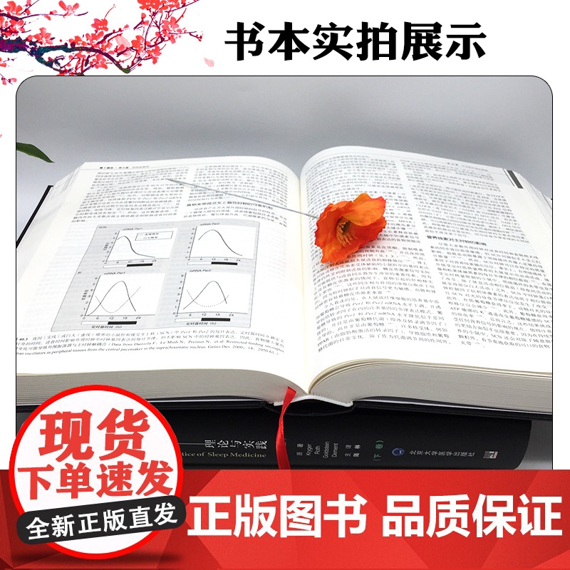睡眠医学:理论与实践(第7版)(上下卷) 北京大学医学出版社9787565932687高清大图