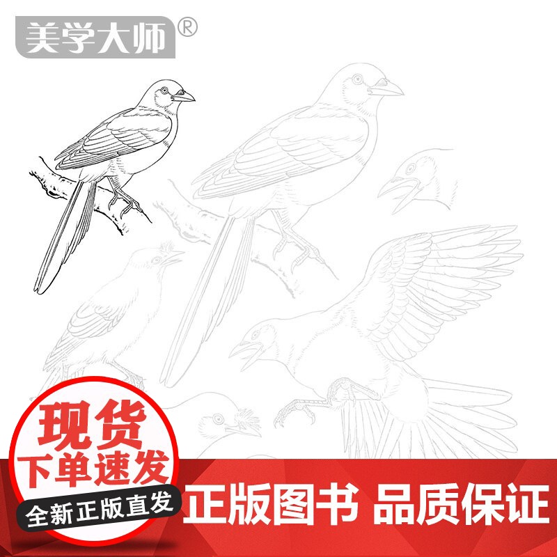 美学大师 中国画描摹本工笔画上下2册/基础训练篇+强化提高篇sh高清大图